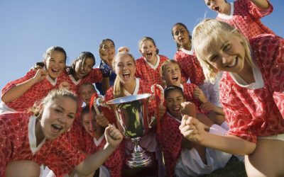 Understanding Team Values